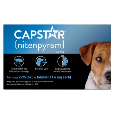 Capstar 2 25 Lb Dog Flea Treatment 6 Count