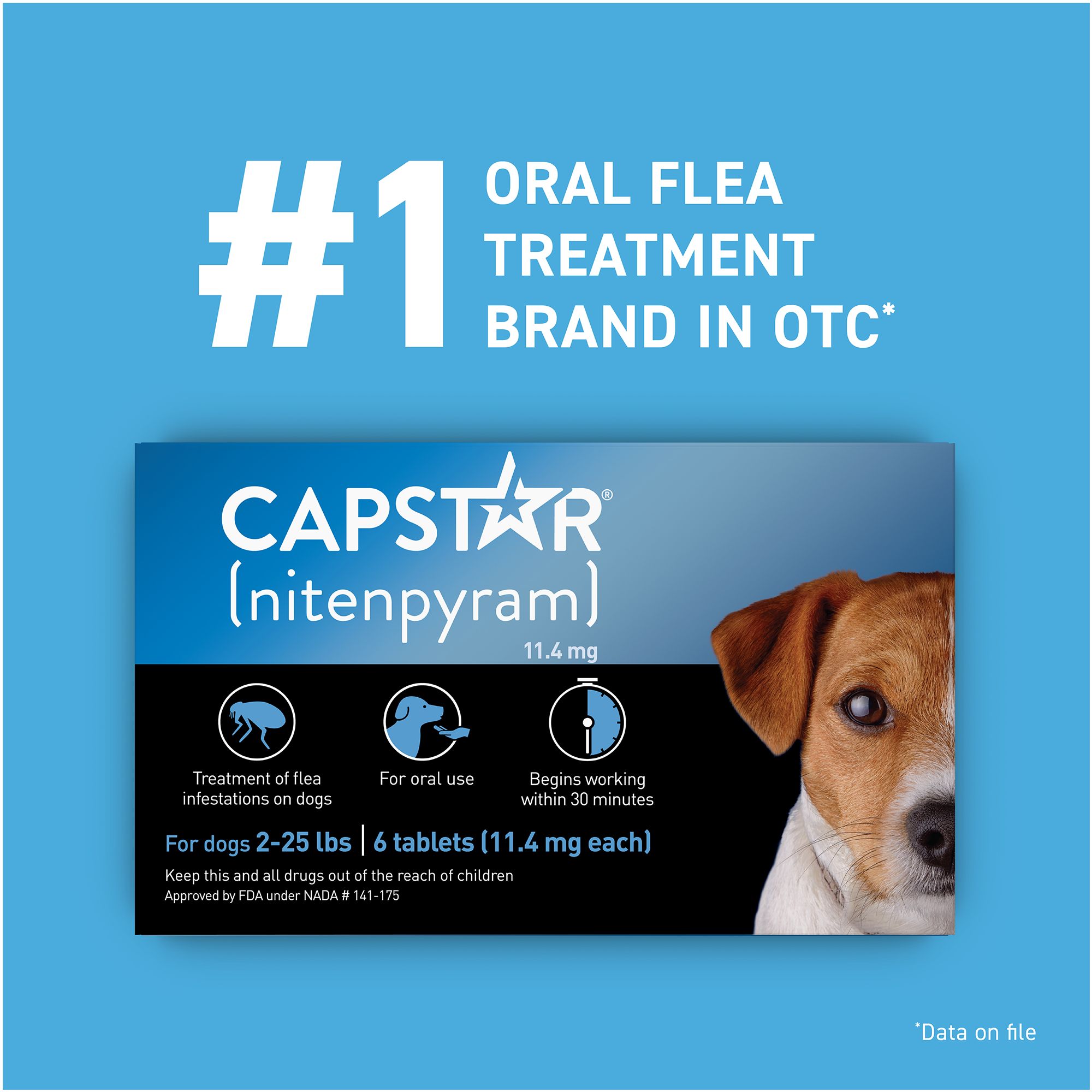 fast acting oral flea treatment for dogs