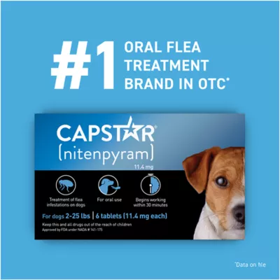 Product Capstar™ 2-25 Lb Dog Flea Treatment - 6 Count