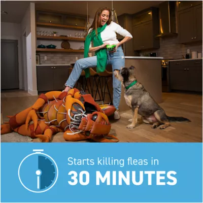 Product Capstar™ 2-25 Lb Dog Flea Treatment
