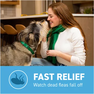 Product Capstar™ 2-25 Lb Dog Flea Treatment