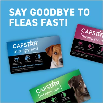 Capstar Flea Tablets for Dogs 2 25 lb