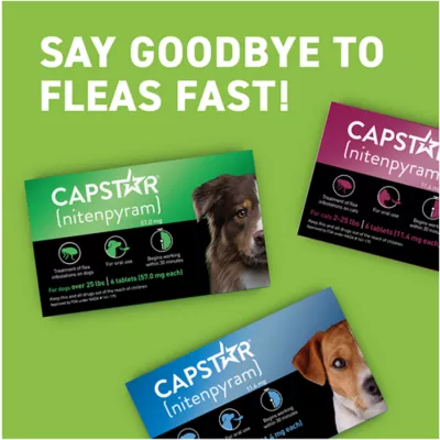 Product Capstar™ Over 25 lbs Dog Flea Treatment - 6 Count