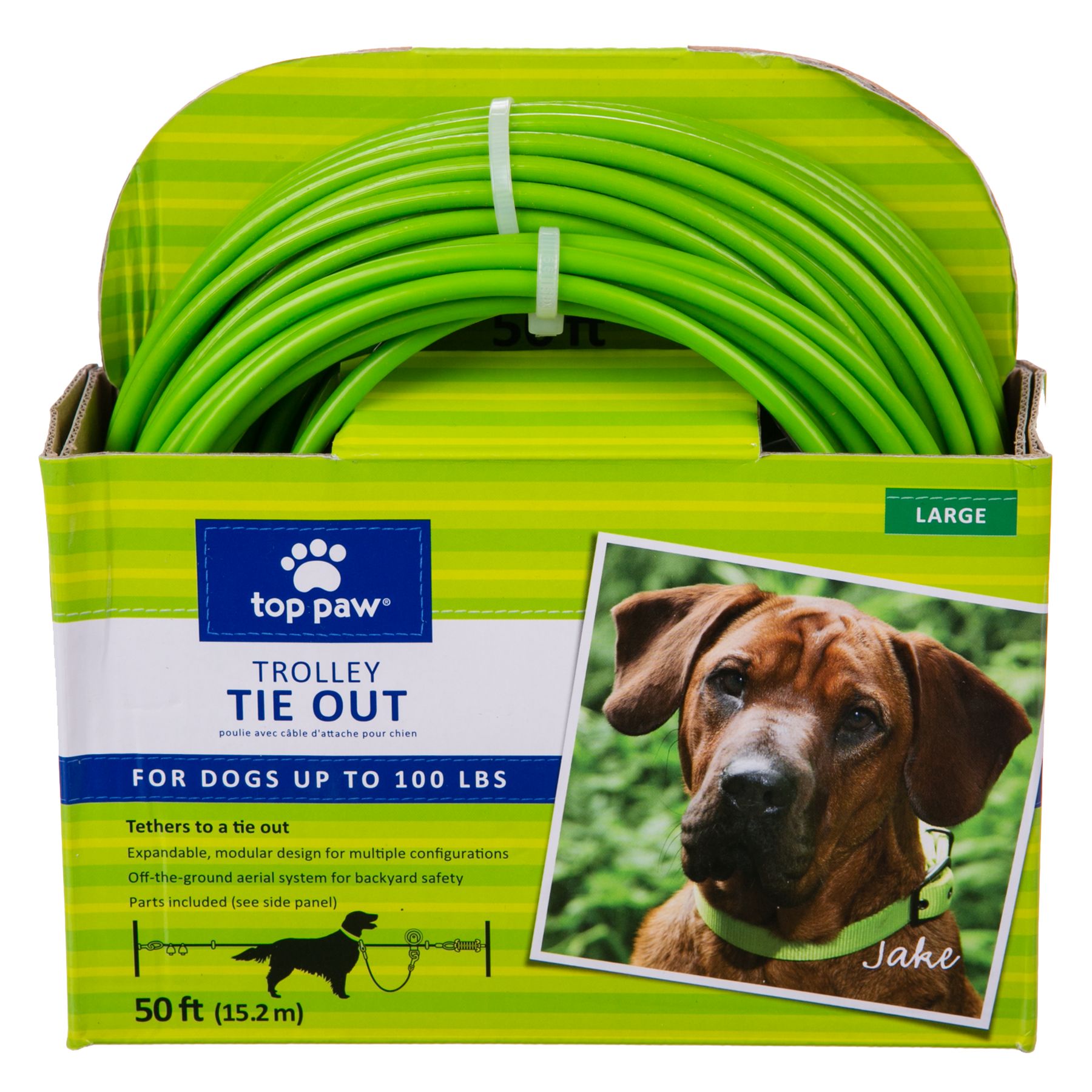 100 ft dog tie out