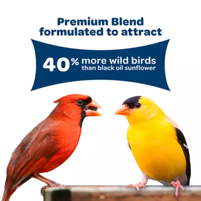 Product KAYTEE® Birders' Paradise Blend® Wild Bird Food