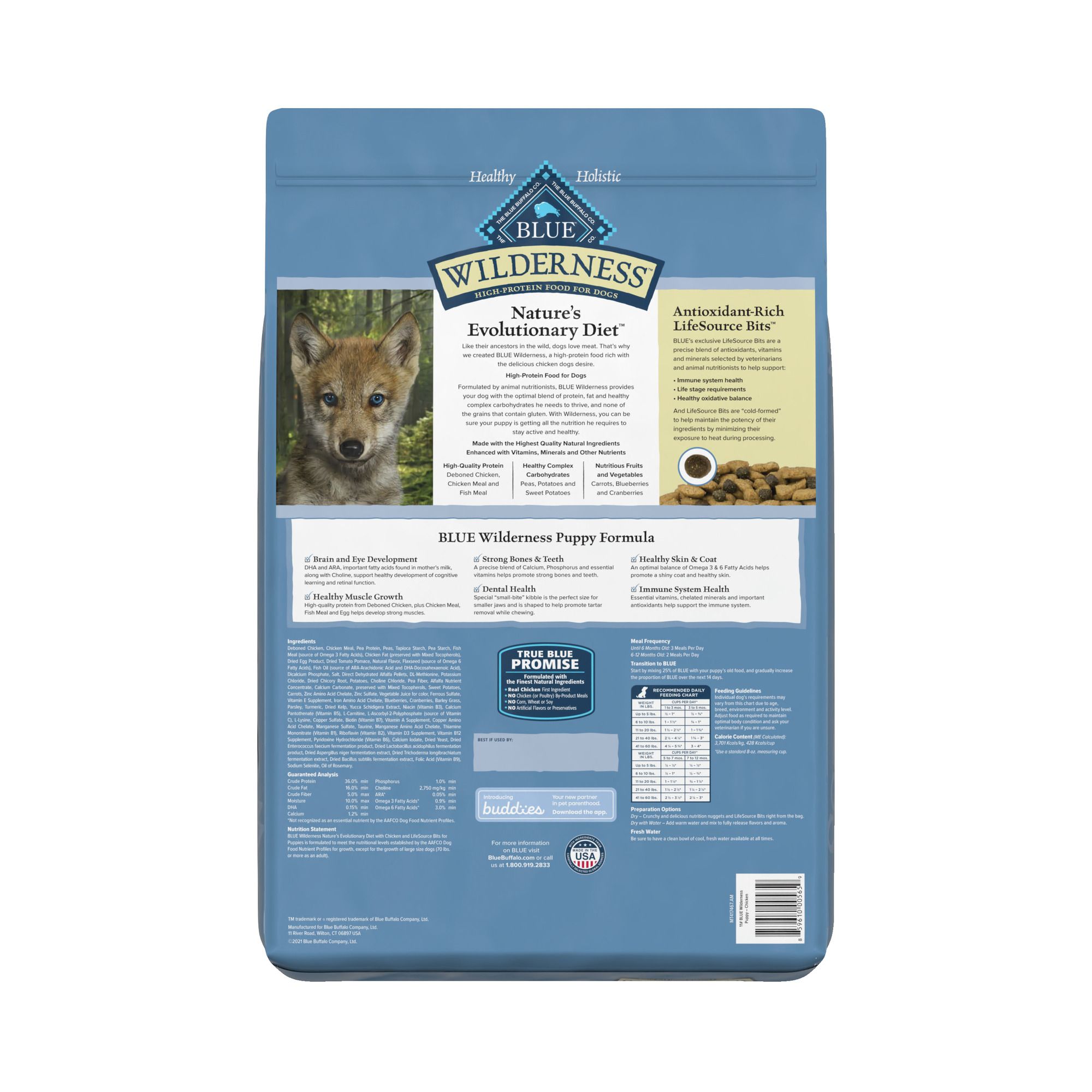 blue buffalo dry puppy food