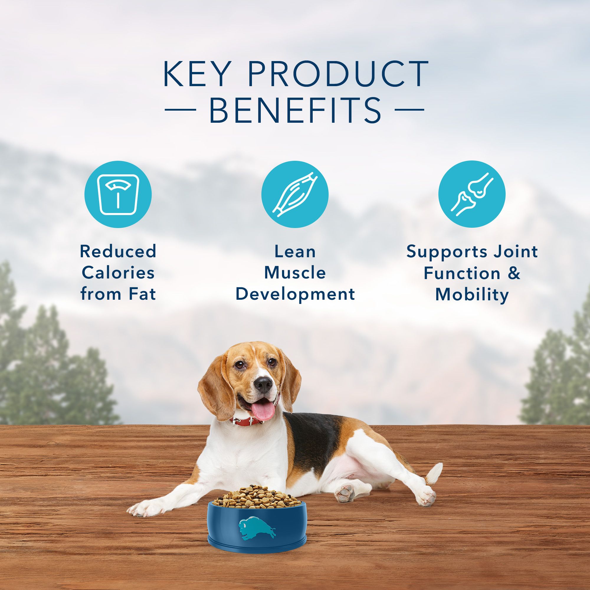 blue buffalo healthy weight petsmart