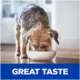 Product Hill's® Prescription Diet® d/d Skin/Food Sensitivities Adult Dry Dog Food - Potato & Salmon
