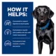 Product Hill's® Prescription Diet® d/d Skin/Food Sensitivities Adult Dry Dog Food - Potato & Salmon