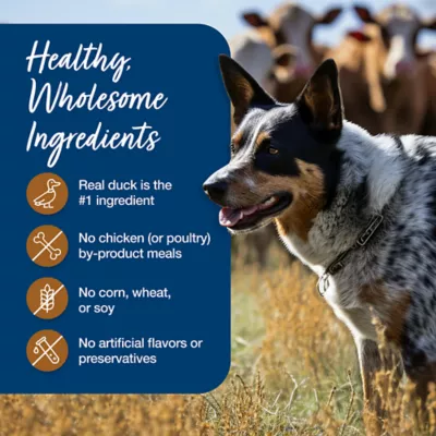 Product Blue Buffalo® Blue's Stew Adult Wet Dog Food - 12.5 Oz.