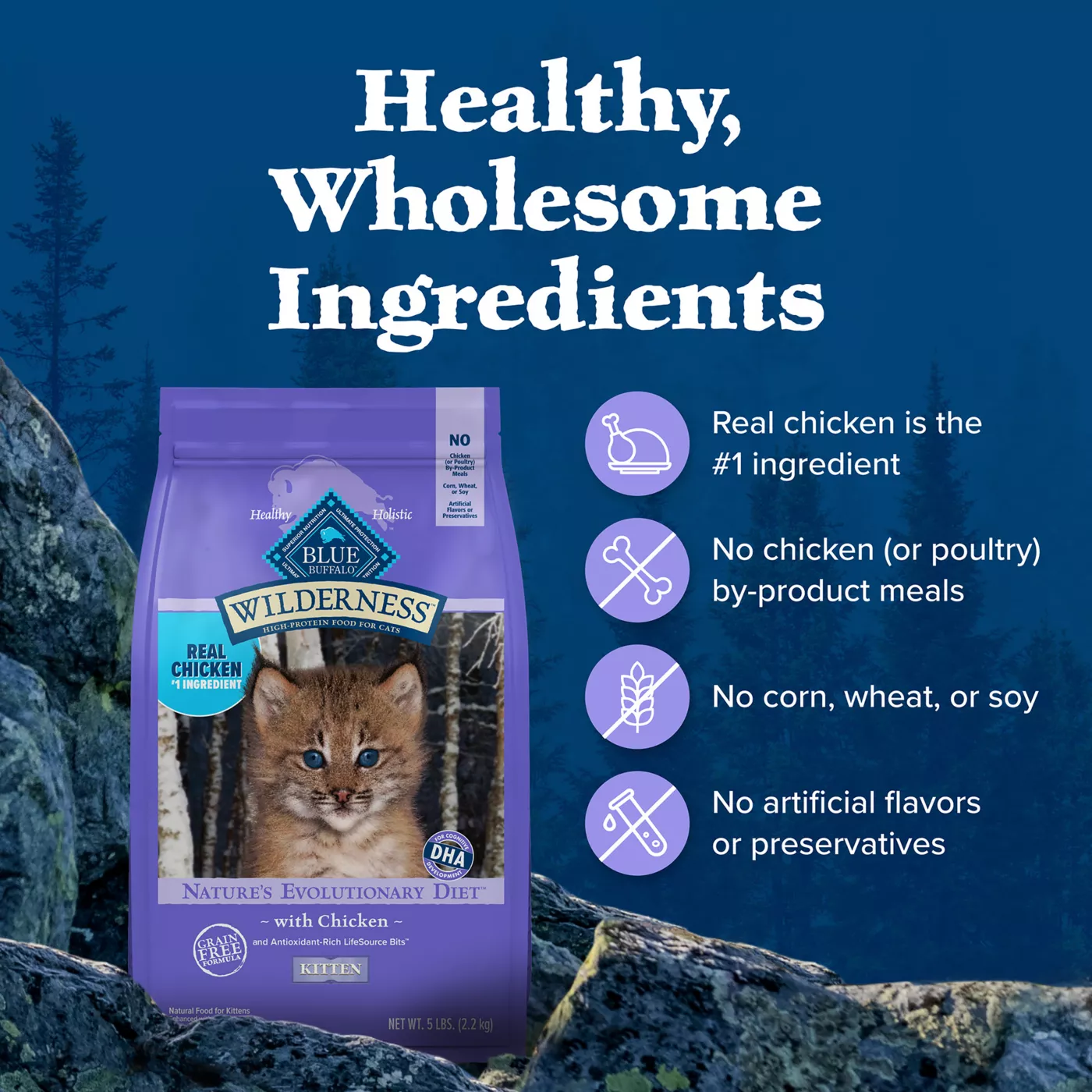 Blue Buffalo Wilderness Kitten Dry Cat Food Grain Free Chicken