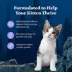 Blue Buffalo Wilderness Kitten Dry Cat Food - Grain Free, Chicken image thumbnail 4