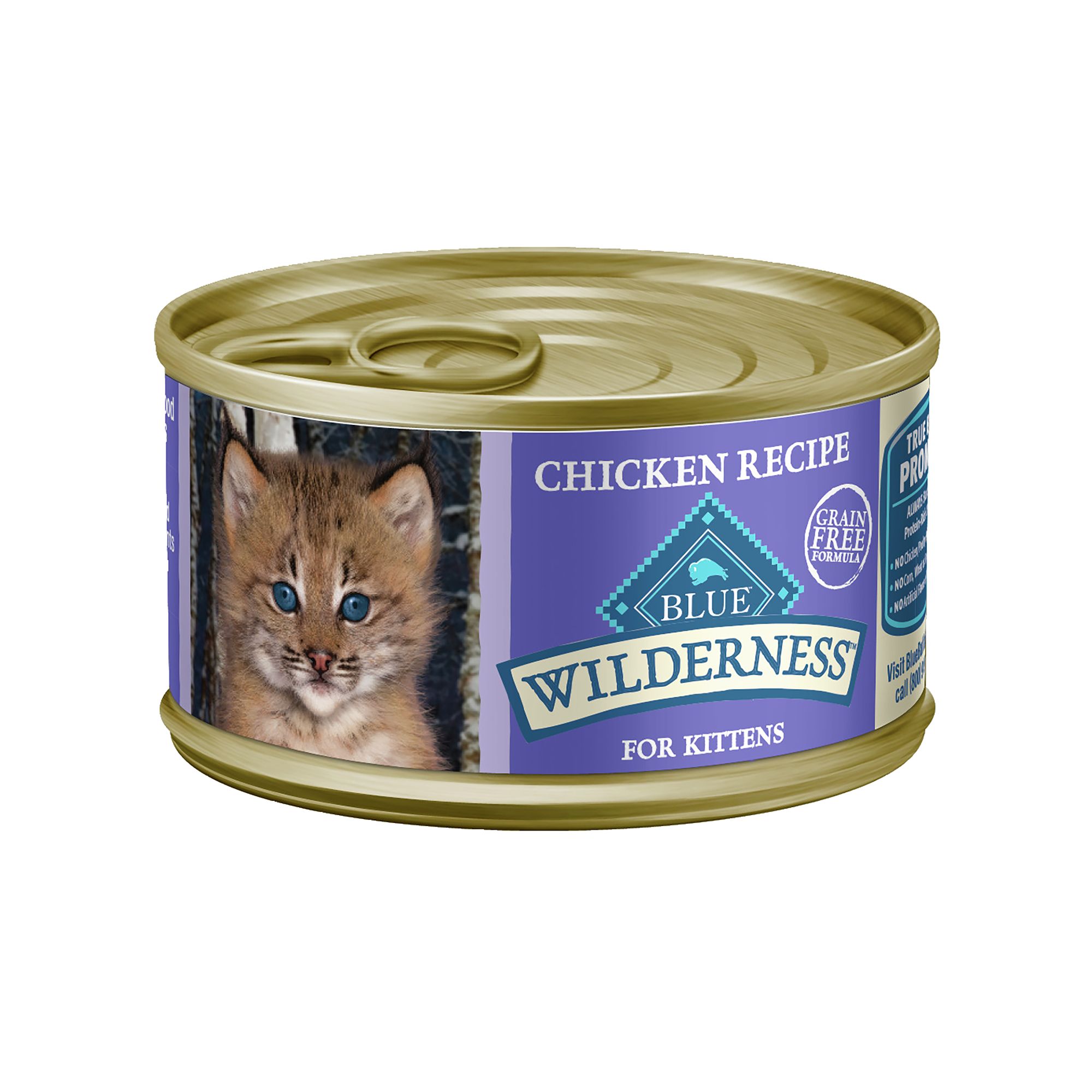 Blue buffalo shop kitten food