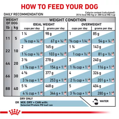 Product Royal Canin® Veterinary Diet Canine Selected Protein PD Adult Dry Dog Food