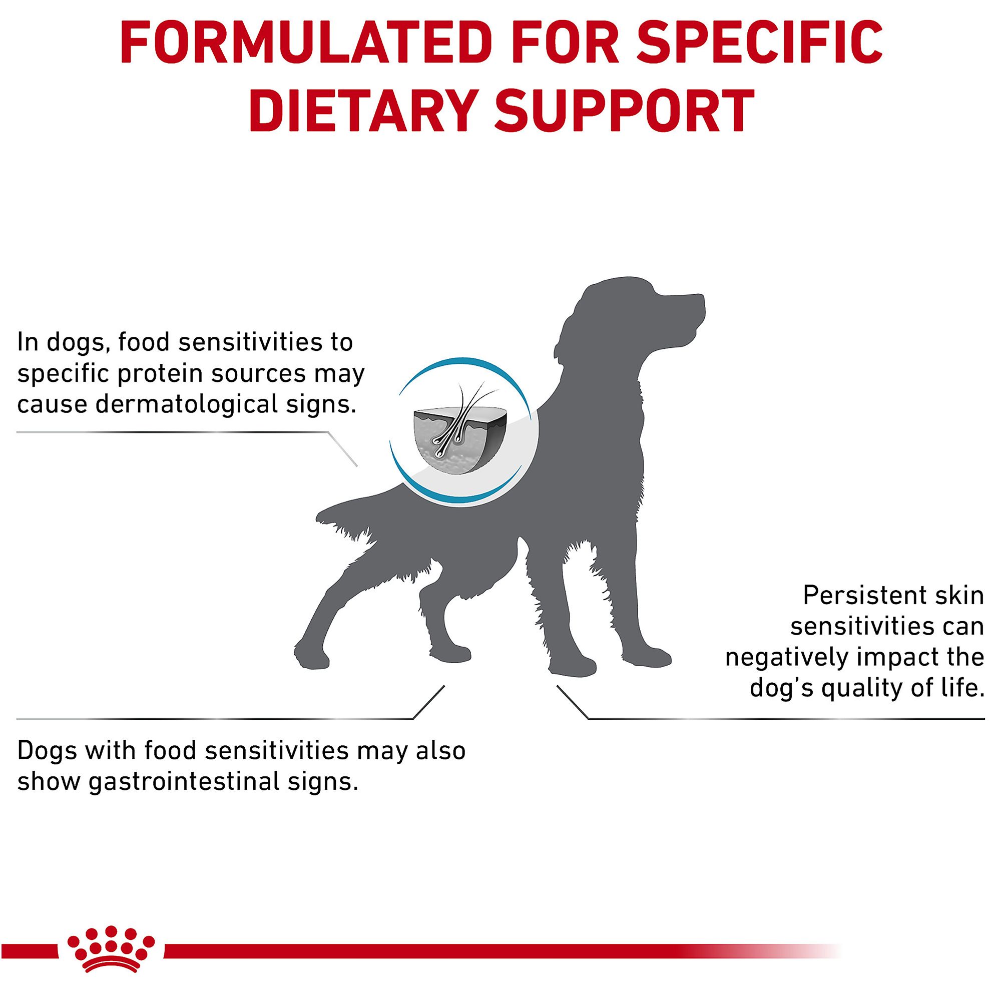 what does hydrolyzed mean in dog food