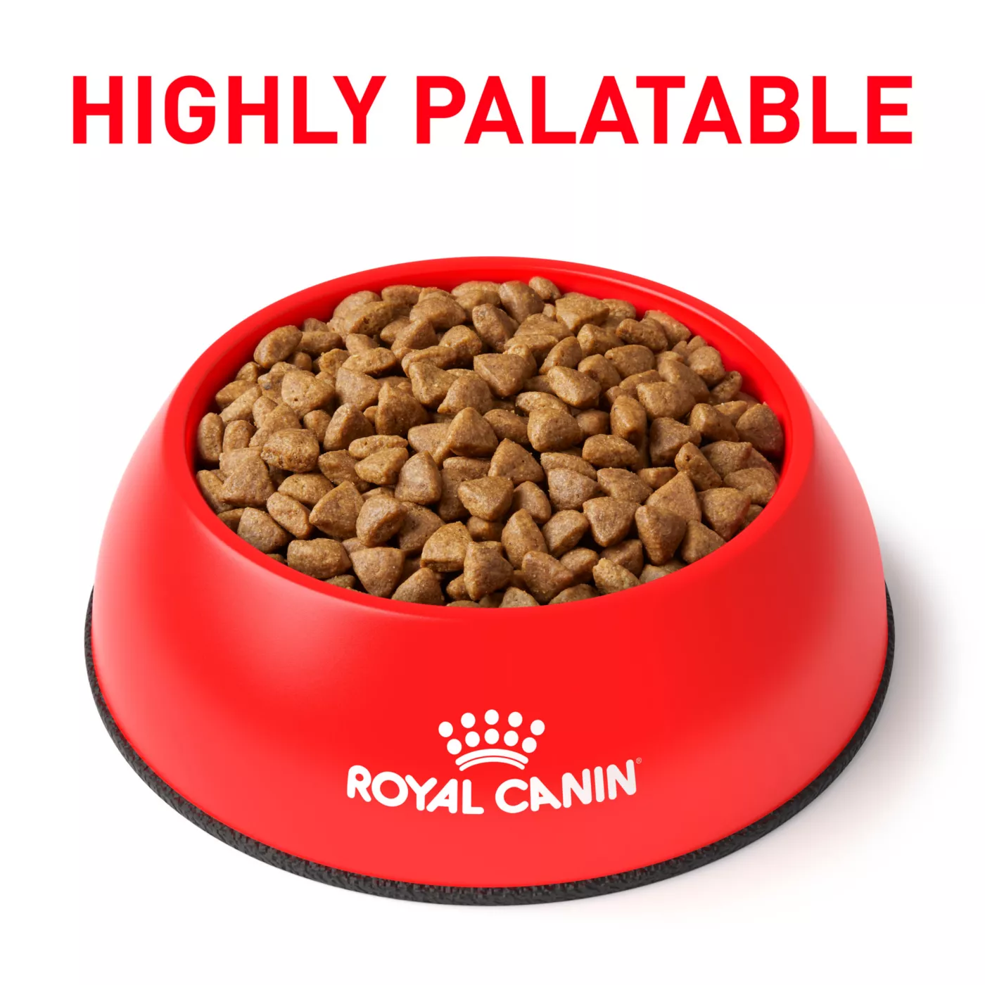 Alternative to royal canin cat food best sale