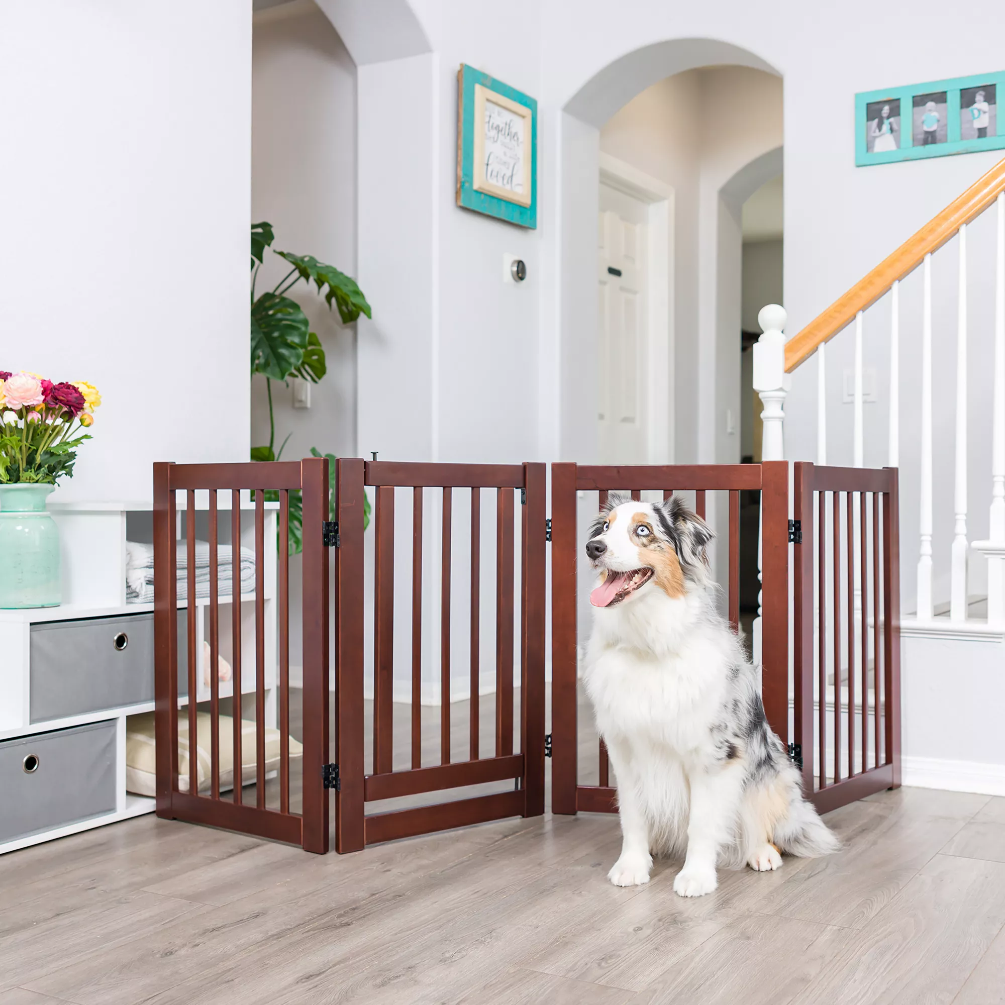 Primetime Petz 360 Configurable Gate