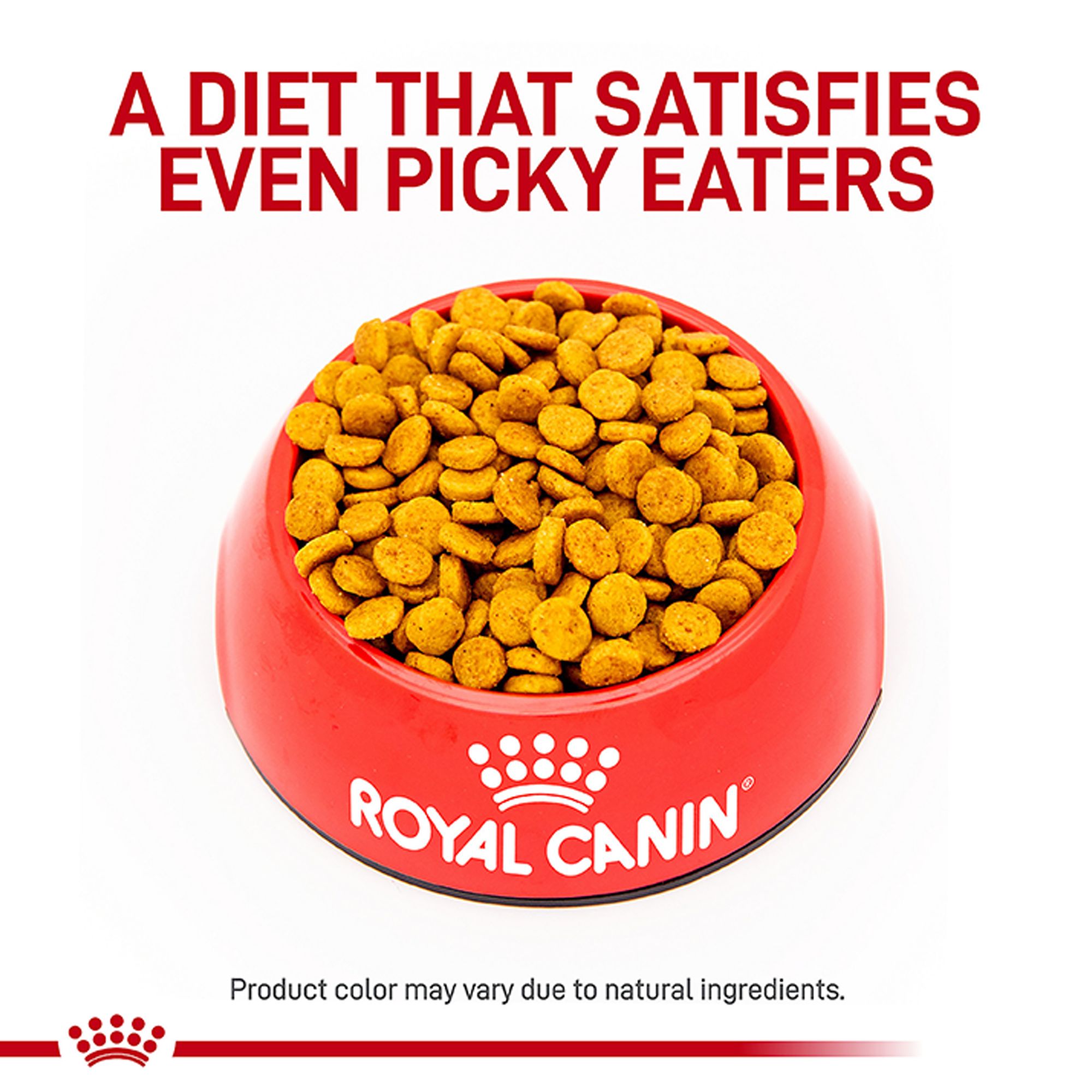 royal canin hypoallergenic feeding guide