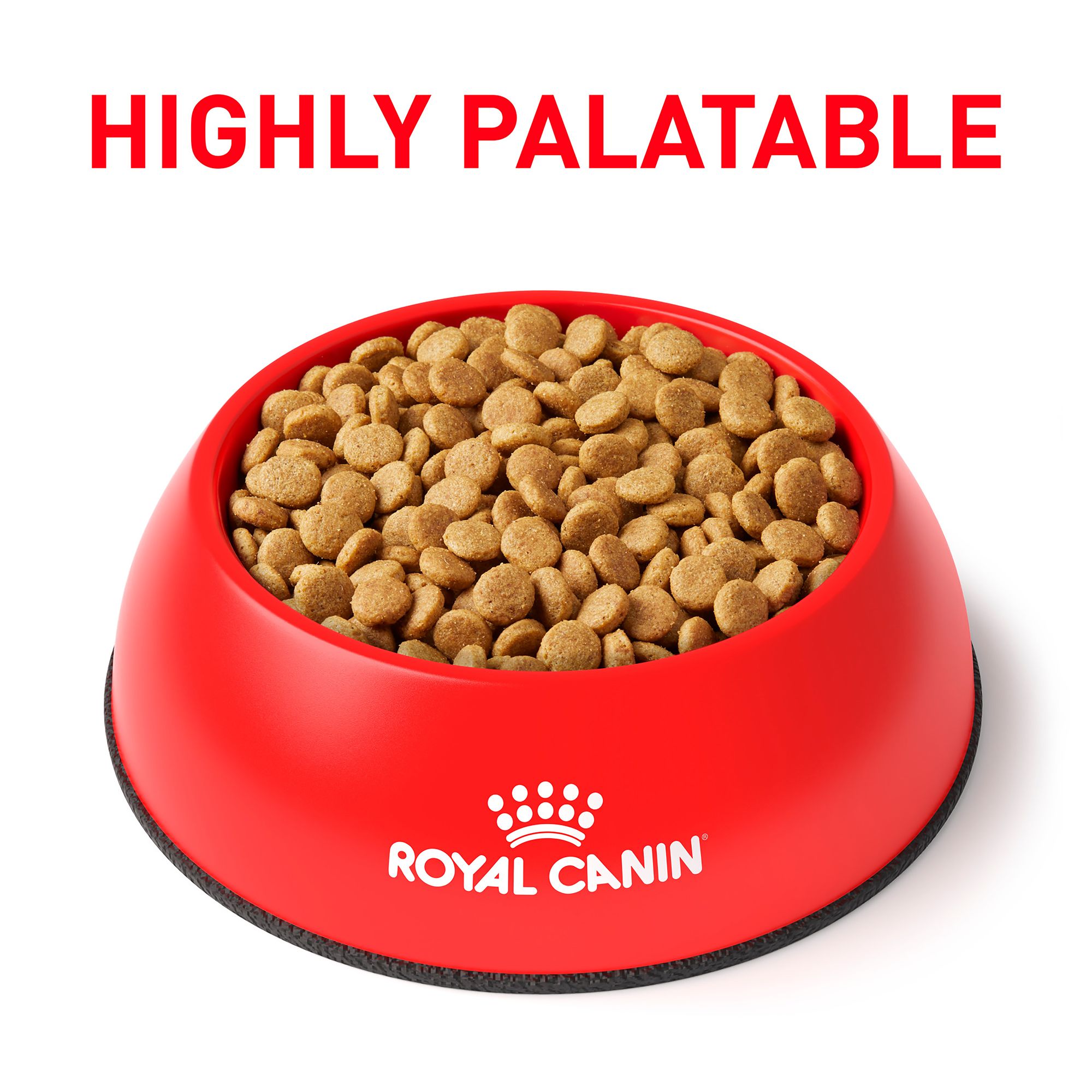 royal canin hydrolyzed protein feeding guide