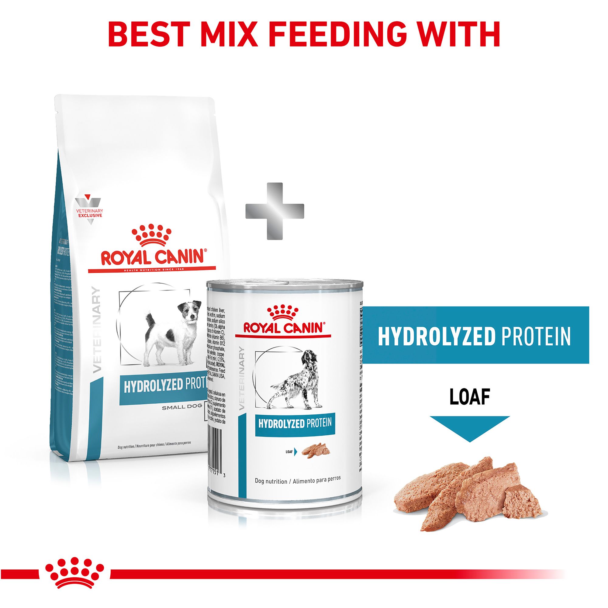 Hydrolyzed protein canine treats best sale