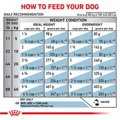 Product Royal Canin® Veterinary Diet Canine Selected Protein PR Adult Dry Dog Food