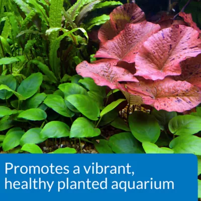 Product API® CO2 Booster Freshwater Aquarium Plant Supplement