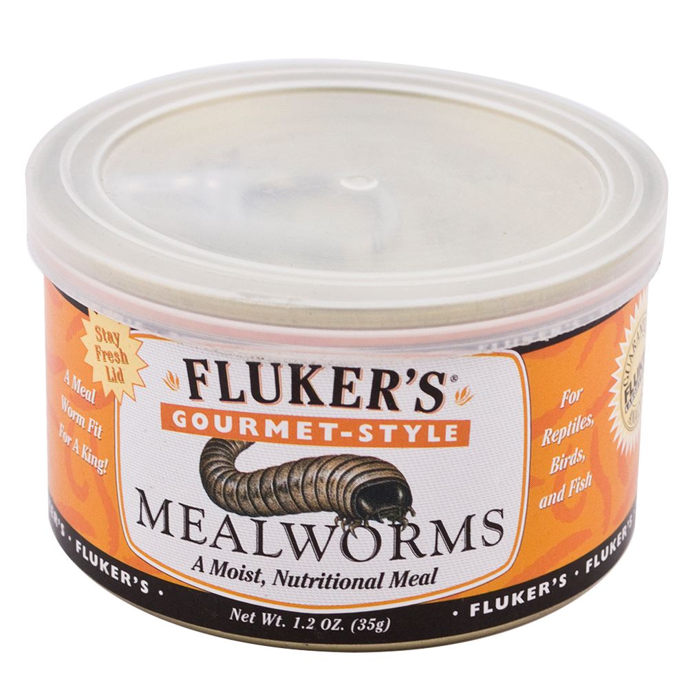 Fluker's 2024 mealworm bedding