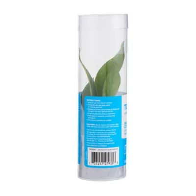 Top Fin® Anubias Congensis Live Plant - Image 5