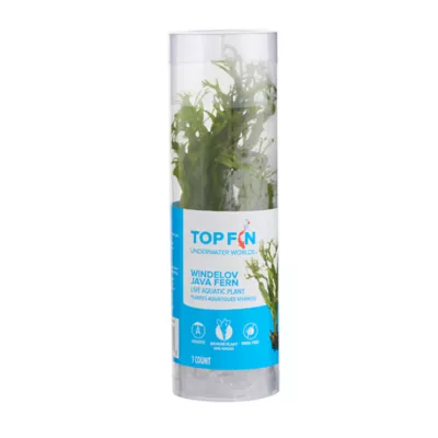 Product Top Fin® Windelov Live Plant