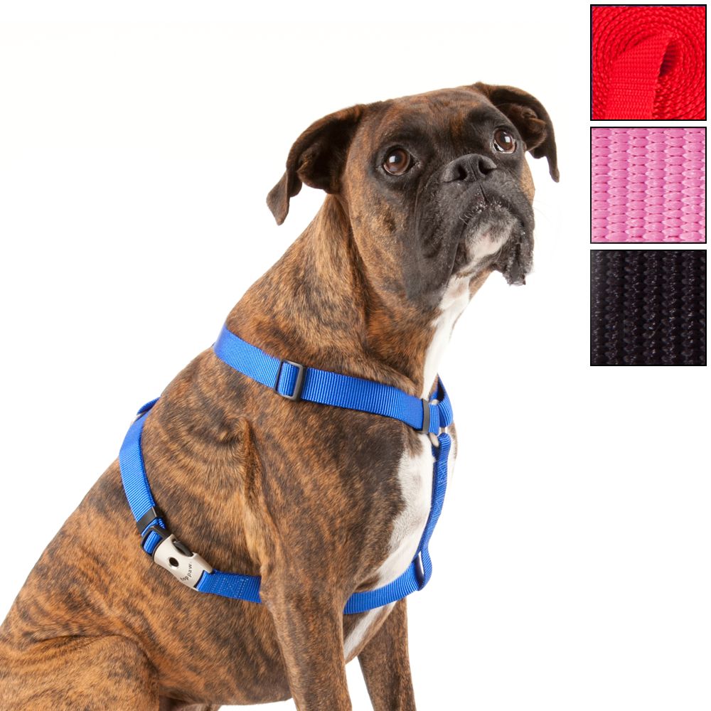 Top Paw® Signature Dog Harness dog Harnesses PetSmart