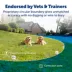 PetSafe® Stay & Play Compact Wireless Pet Fence - Secure up to 3/4 Acre - No-Dig Portable Fencing image thumbnail 2