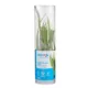 Product Top Fin® Windelov Live Plant