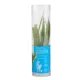 Product Top Fin® Windelov Live Plant