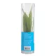 Product Top Fin® Windelov Live Plant