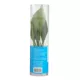 Product Top Fin® Anubias Congensis Live Plant