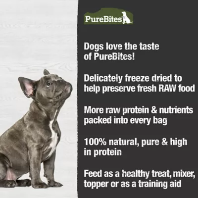 Purebites Freeze Dried Dog Treat Beef