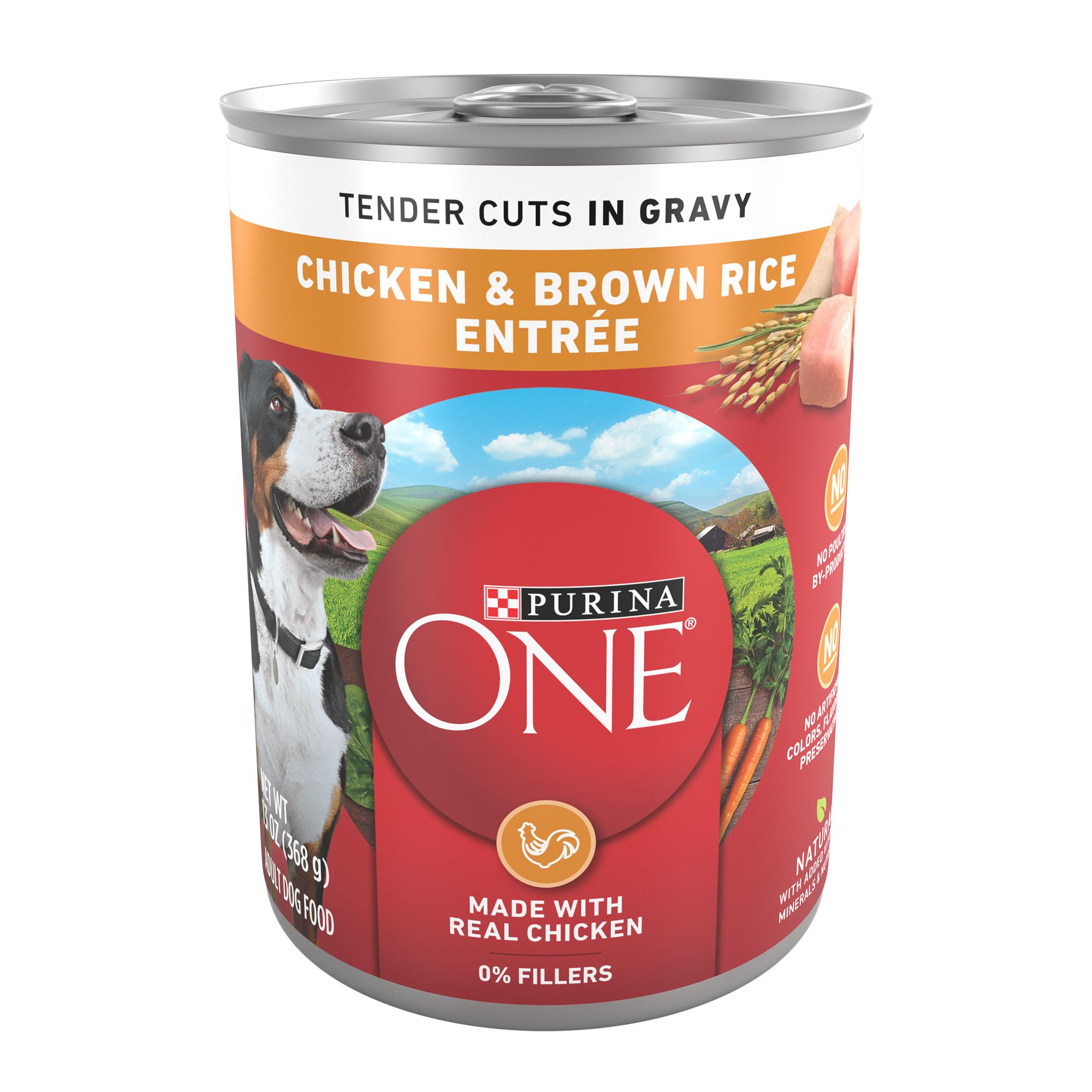 Purina ONE SmartBlend Everyday Nutrition Adult Dog Wet Food 13 oz. Natural