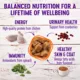 Product Wellness® Cubed Cat Food - Natural, Grain Free