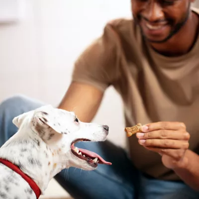 Product Milk-Bone Flavor Snacks Dog Treat All Ages - Beef, Chicken, Bacon