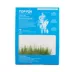 Top Fin® T.C. Dwarf Hairgrass Live Plant image thumbnail 4