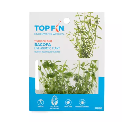 Top Fin® Bacopa Live Plant Tissue Culture - Image 3