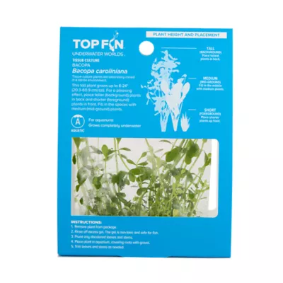Top Fin® Bacopa Live Plant Tissue Culture - Image 4