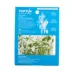 Top Fin® Bacopa Live Plant Tissue Culture image thumbnail 4