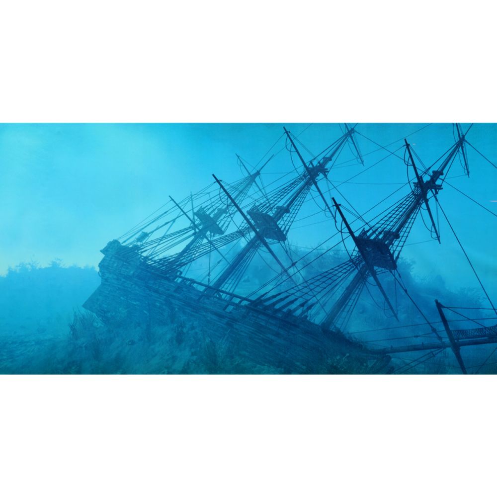 Top Fin® Shipwreck Aquarium Cling fish Backgrounds PetSmart