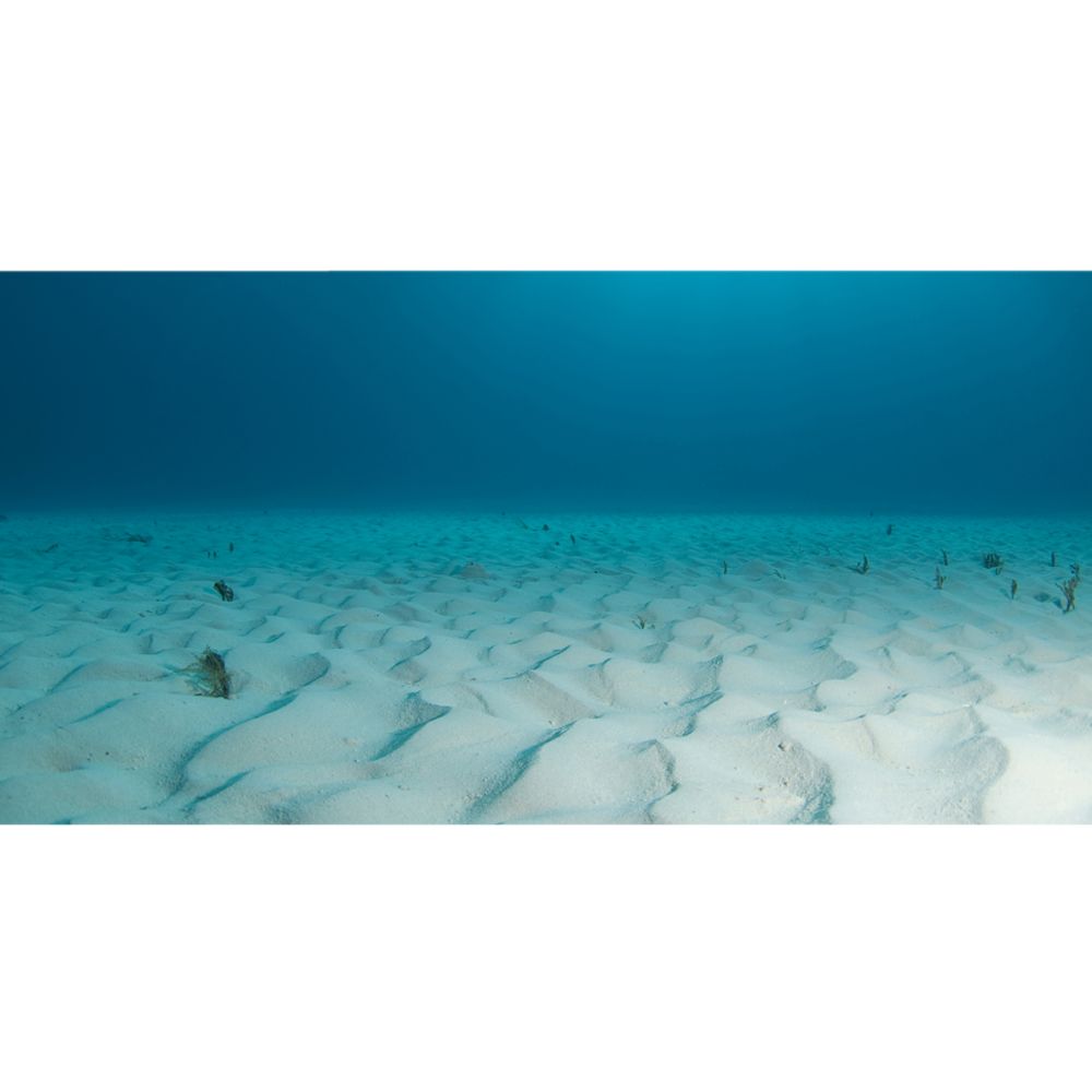 all-reviews-flip-aquatics
