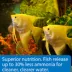 API® Tropical Community Fish Flakes Fish Food image thumbnail 5
