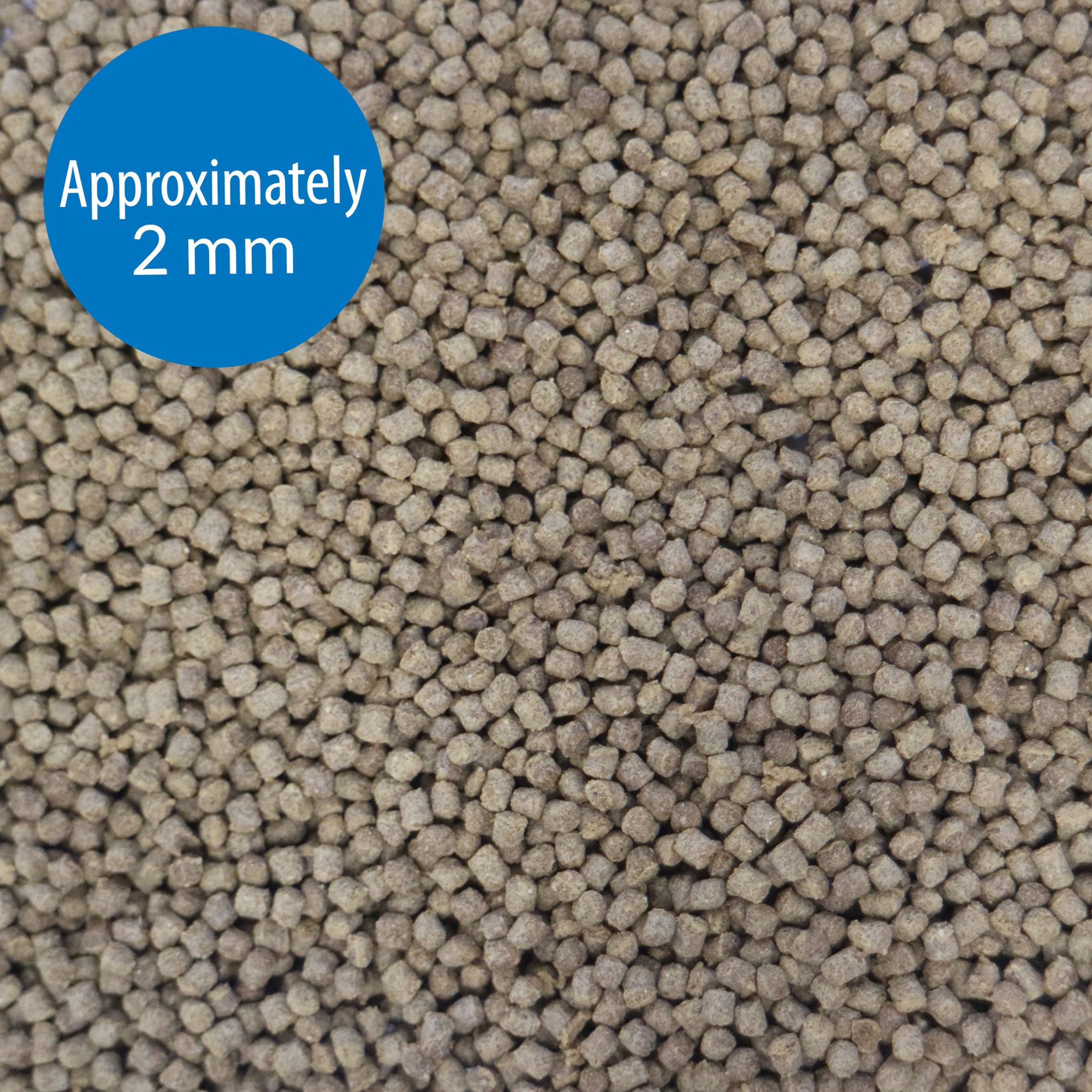 API® Goldfish Premium Pellets Fish Food with Fiber & Vitamins C/E - thumbnail 3