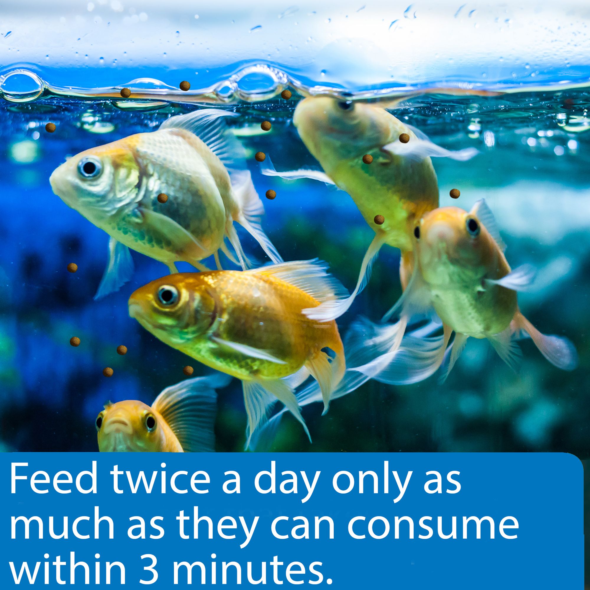 API® Goldfish Premium Pellets Fish Food with Fiber & Vitamins C/E - thumbnail 4