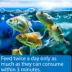 API® Goldfish Premium Pellets Fish Food image thumbnail 4