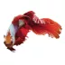 Dragon Scale Male Betta Fish image thumbnail 1